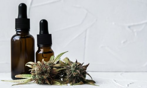 What Is CBD And THC And Their Significance