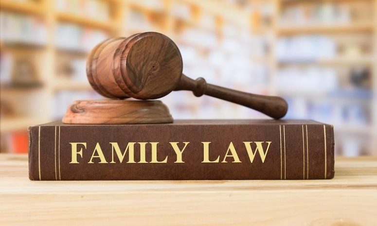 Reasons To Hire A Family Lawyer From The Beginning Of Your Process